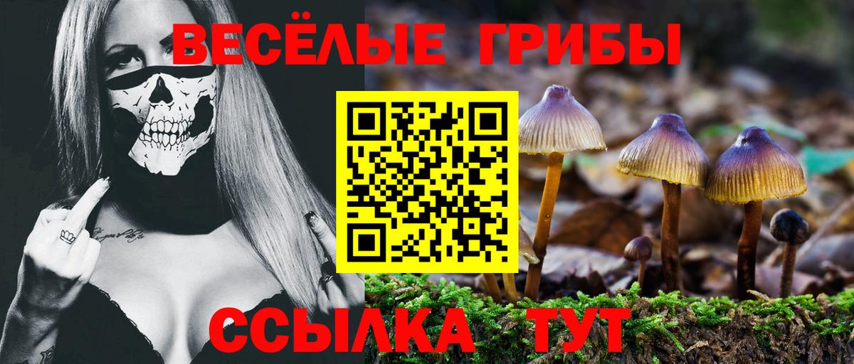 Псилоцибиновые грибы Magic Shrooms Волжский